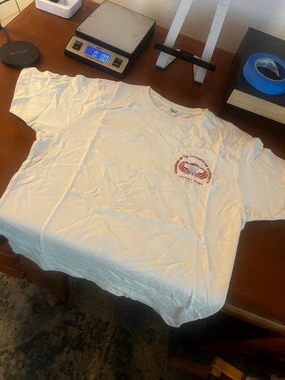 Derrick Brown classic tour t-shirt